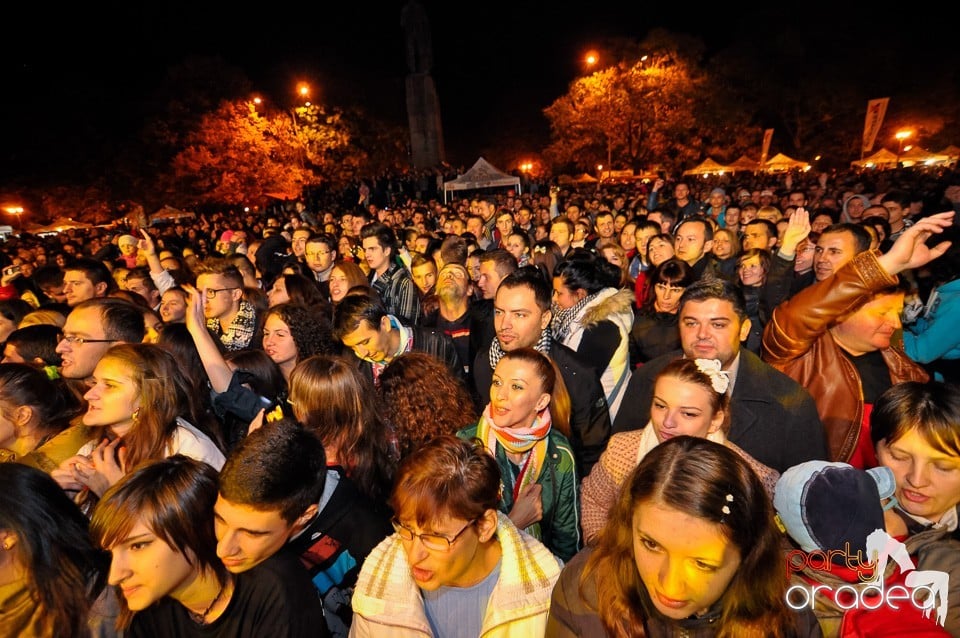 Concert Direcţia 5,