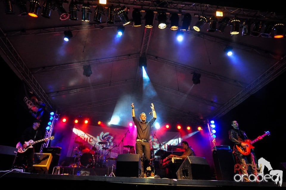 Concert Direcţia 5,