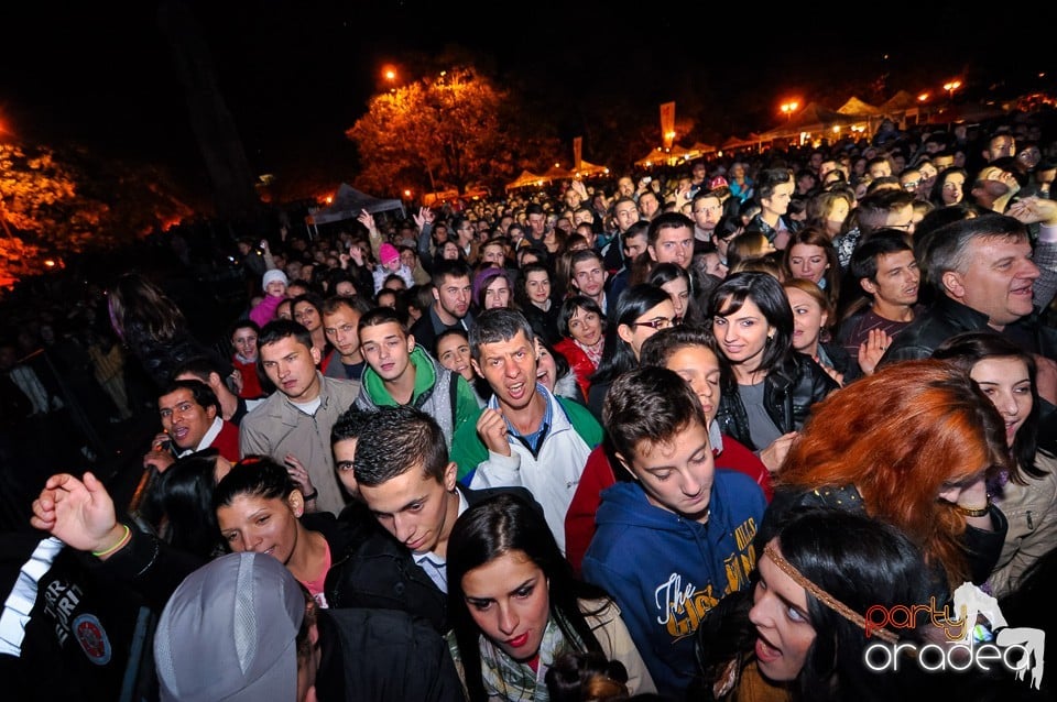 Concert Direcţia 5,