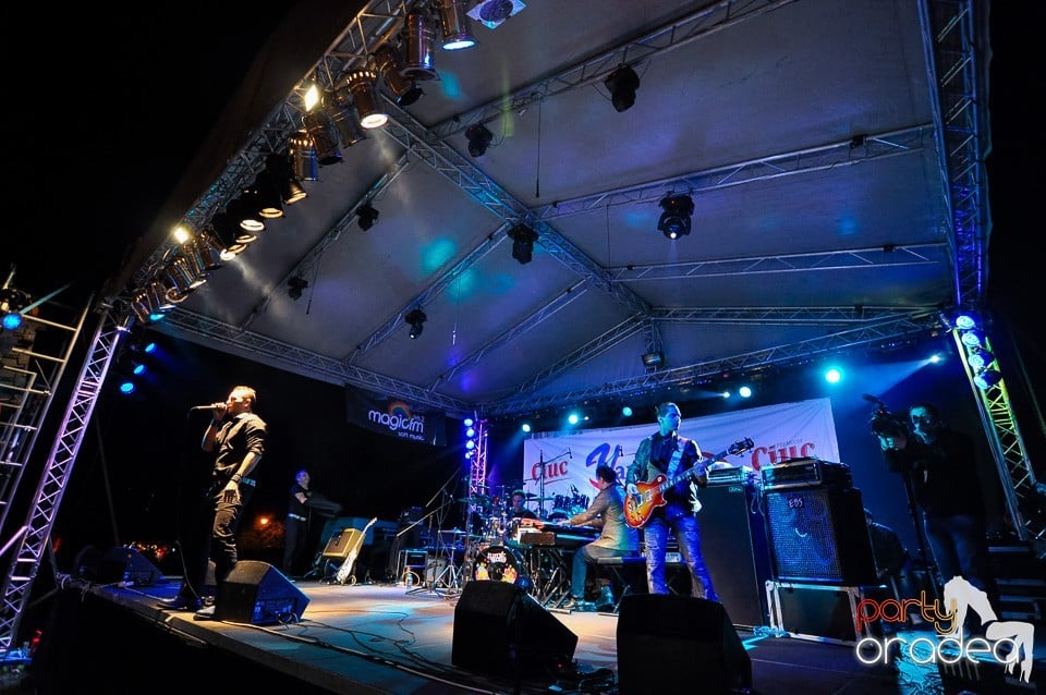 Concert Direcţia 5,