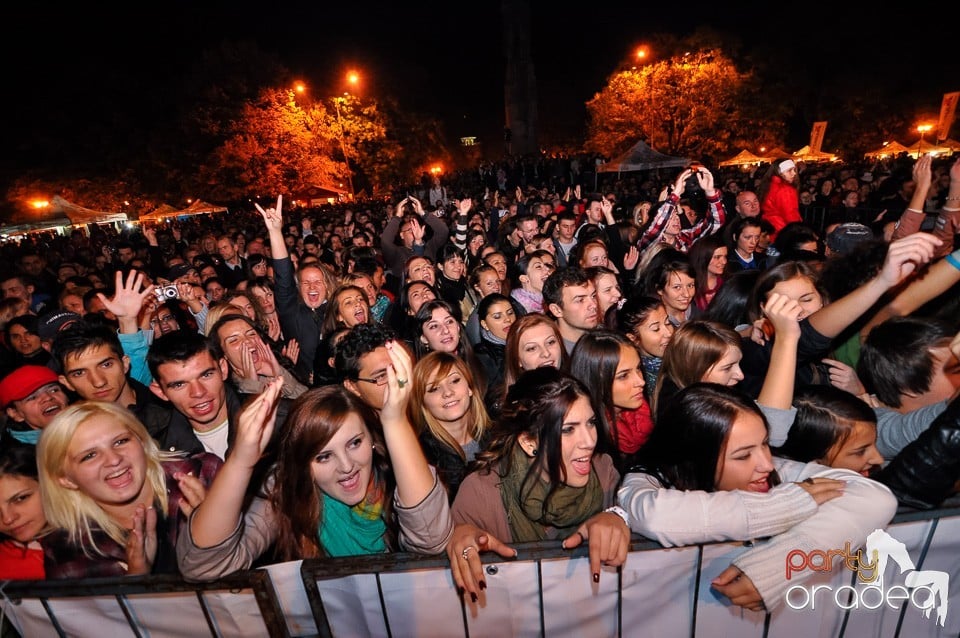 Concert Direcţia 5,