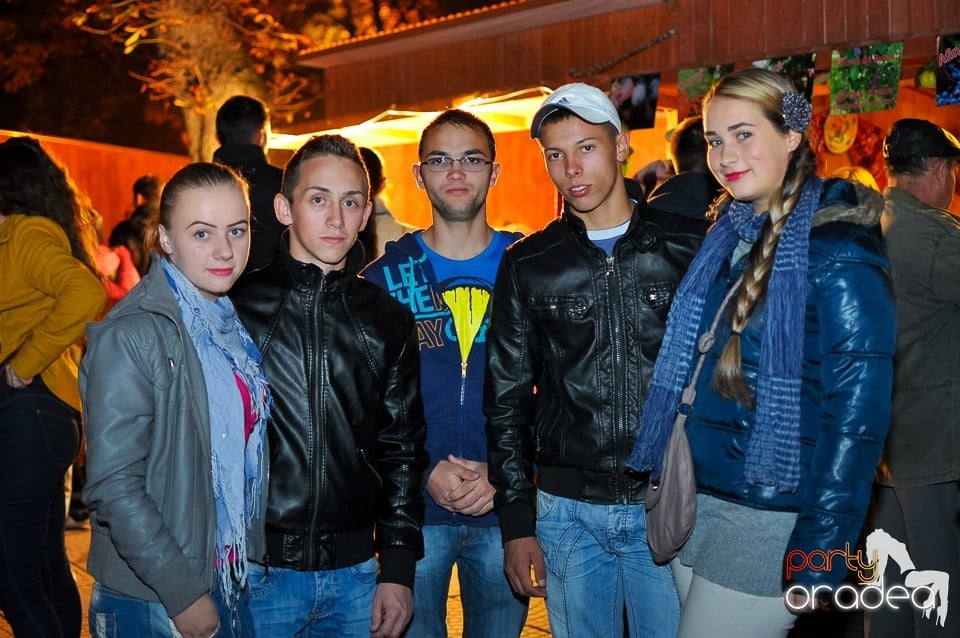 Concert Direcţia 5,