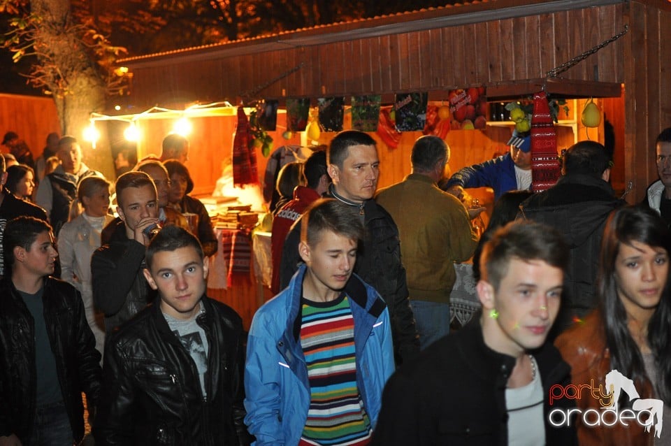 Concert Direcţia 5,