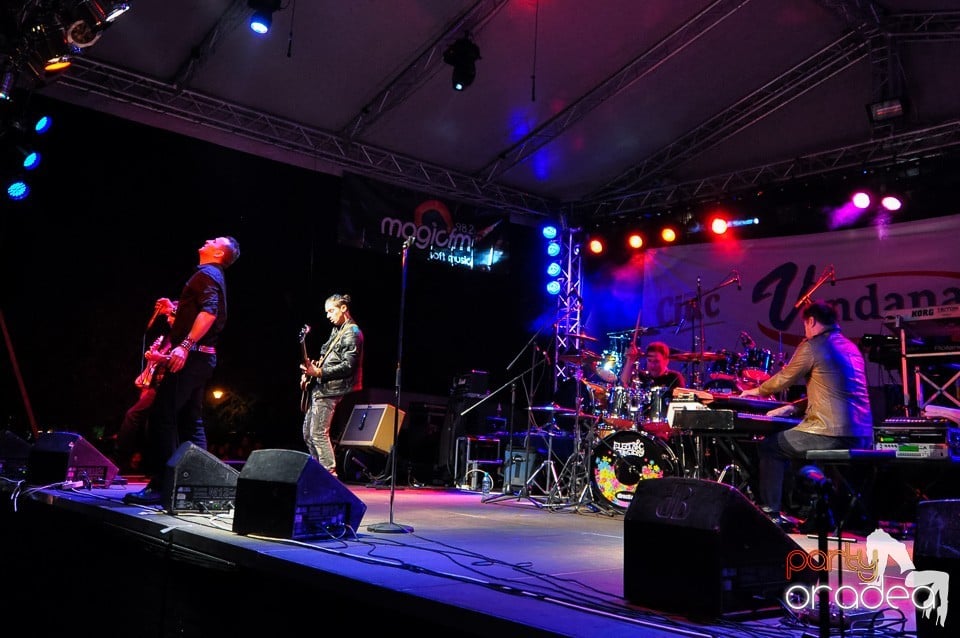 Concert Direcţia 5,