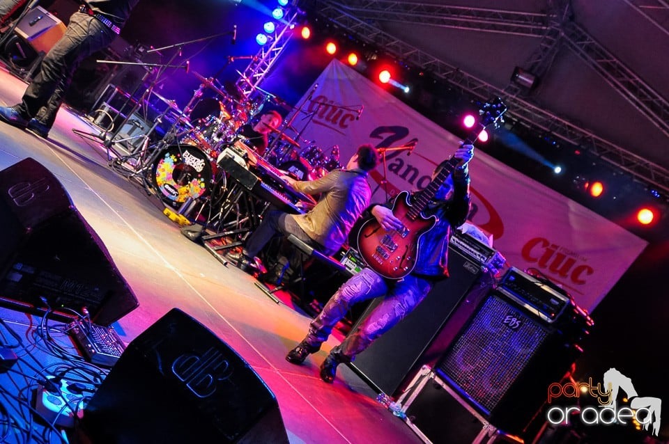 Concert Direcţia 5,