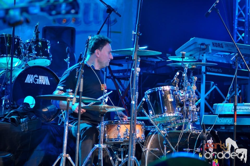 Concert Direcţia 5,