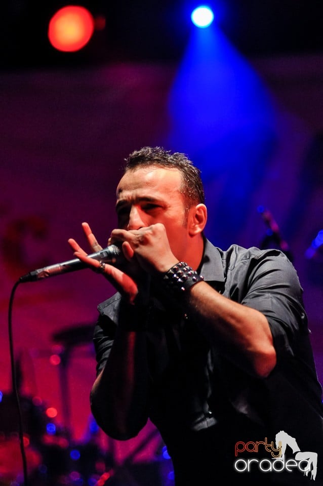 Concert Direcţia 5,