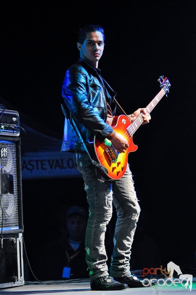 Concert Direcţia 5,