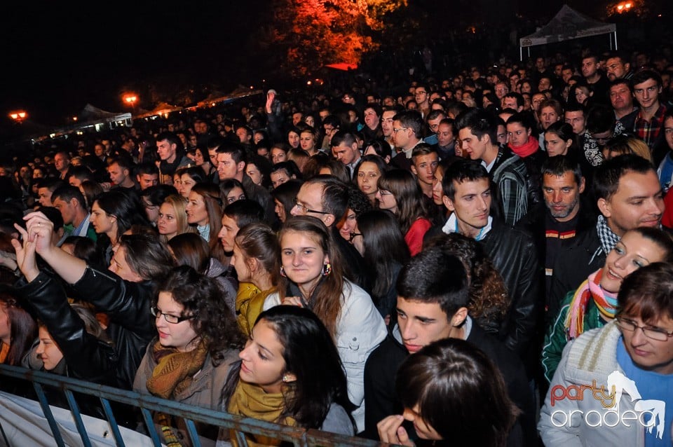 Concert Direcţia 5,