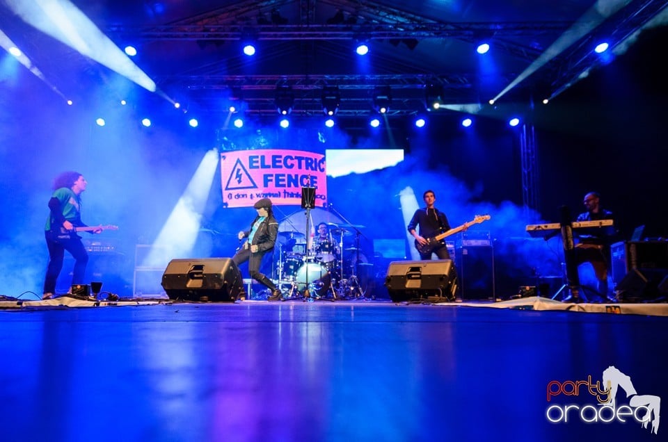 Concert Electric Fence, Oradea