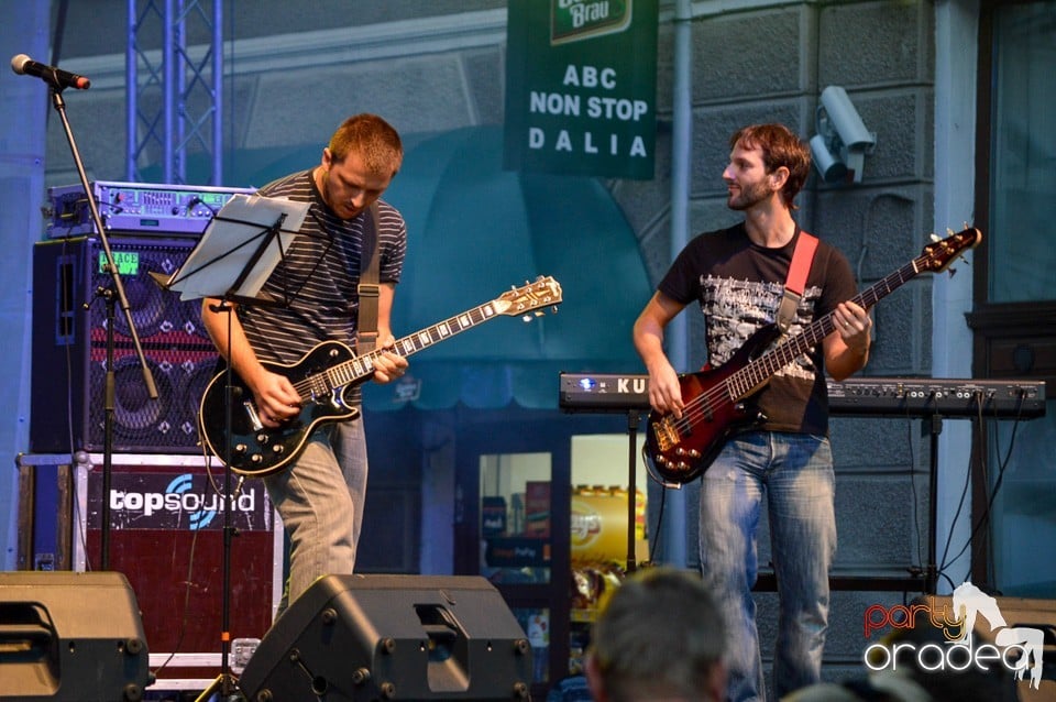 Concert EMStreet la Toamna Oradeana, Oradea