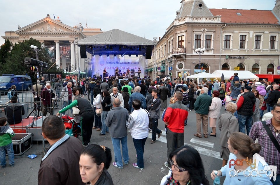 Concert EMStreet la Toamna Oradeana, Oradea