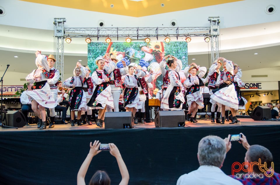 Concert extraordinar de folclor, Era Shopping Park