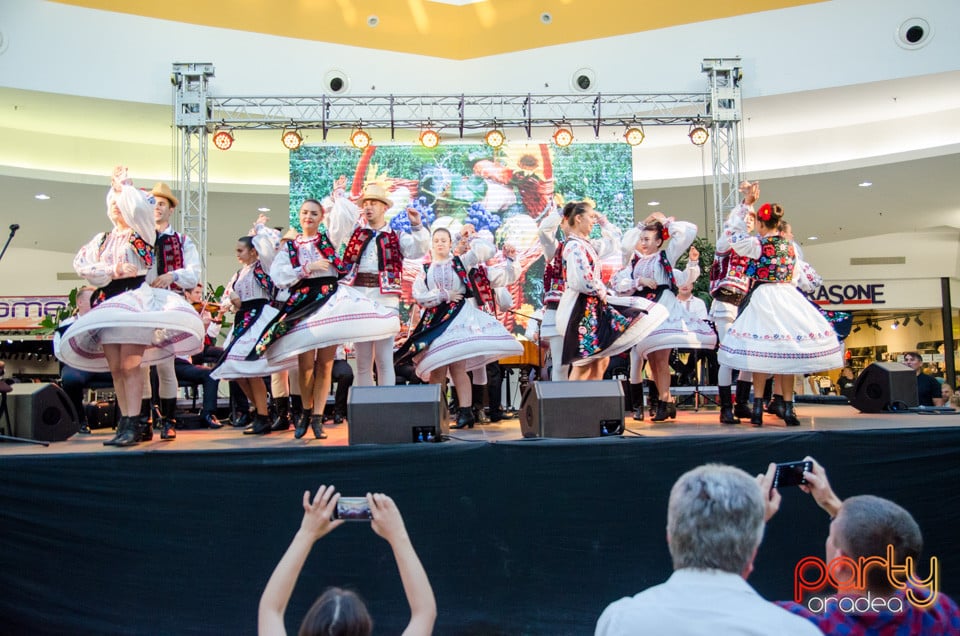 Concert extraordinar de folclor, Era Shopping Park