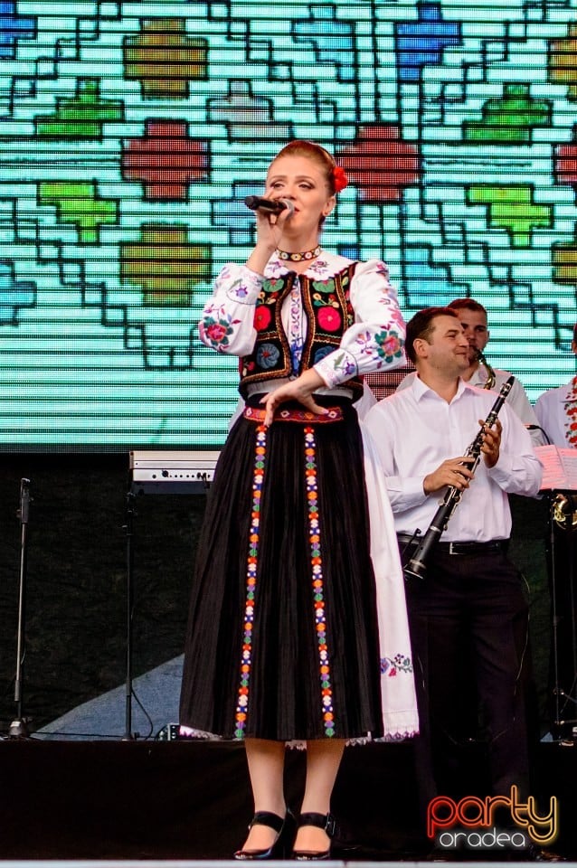 Concert Florile Bihorului, Oradea