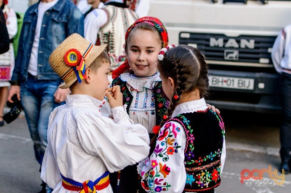 Concert Florile Bihorului, Oradea