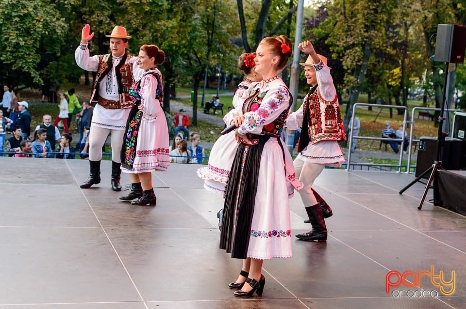 Concert Florile Bihorului, Oradea