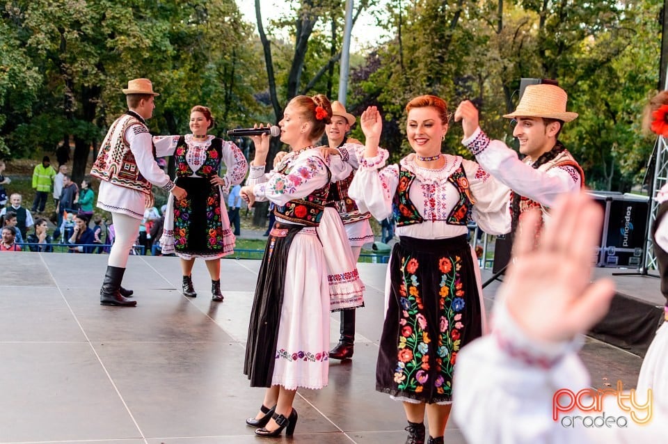 Concert Florile Bihorului, Oradea