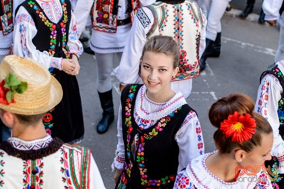 Concert Florile Bihorului, Oradea