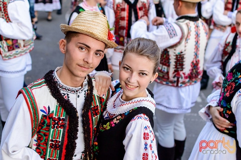 Concert Florile Bihorului, Oradea