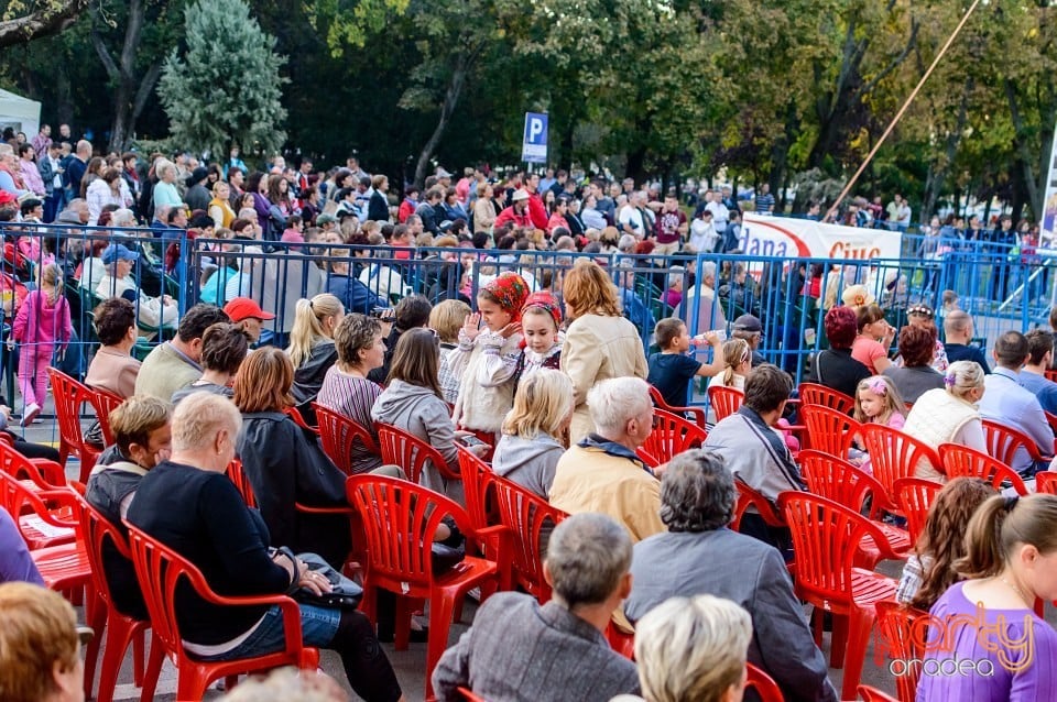 Concert Florile Bihorului, Oradea