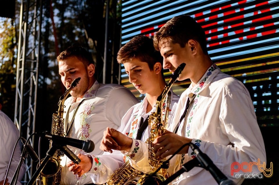 Concert Florile Bihorului, Oradea