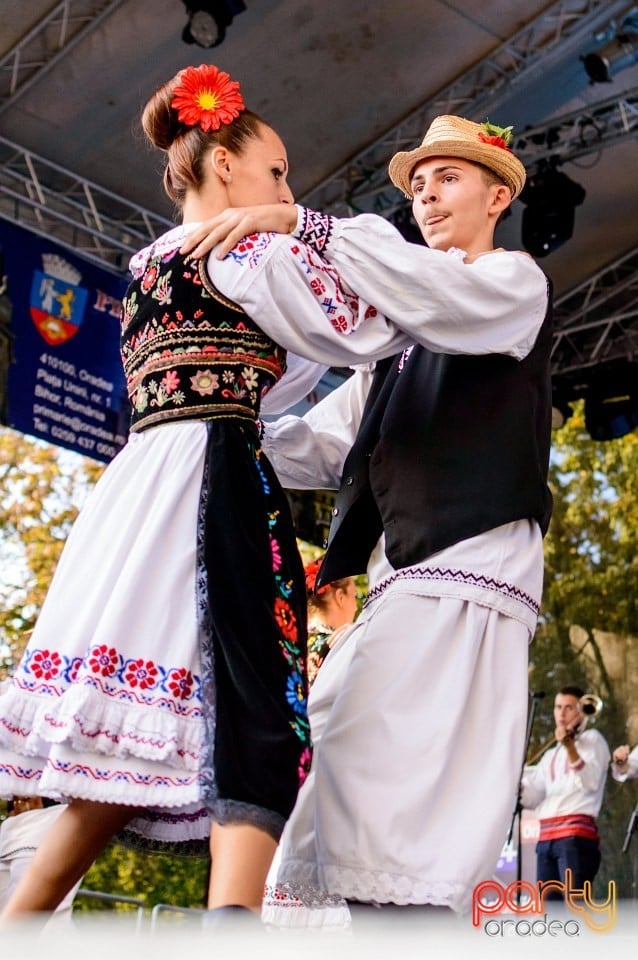 Concert Florile Bihorului, Oradea