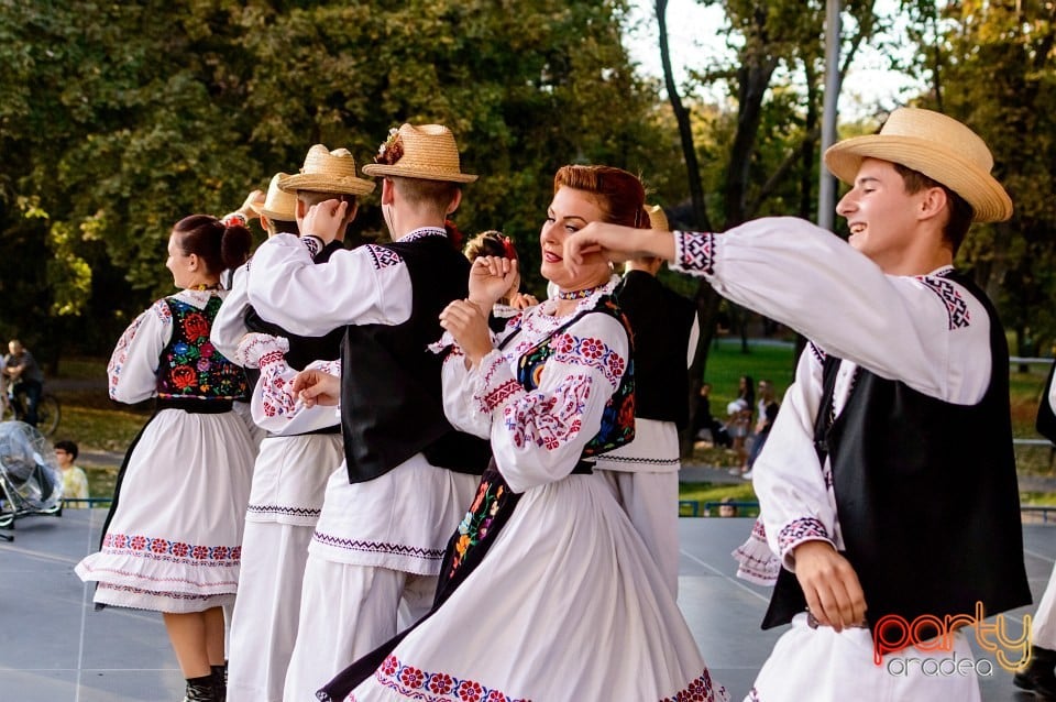 Concert Florile Bihorului, Oradea