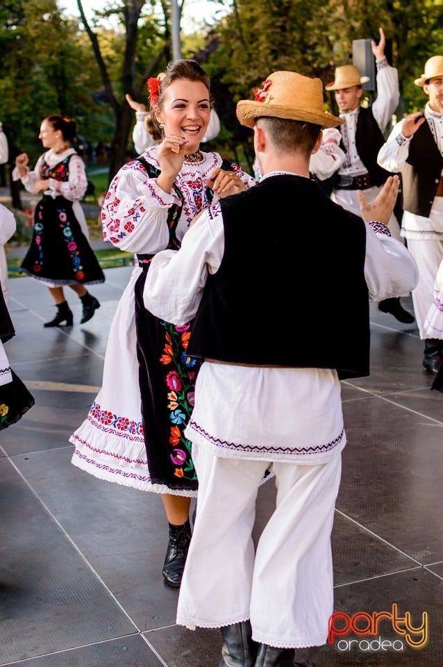 Concert Florile Bihorului, Oradea