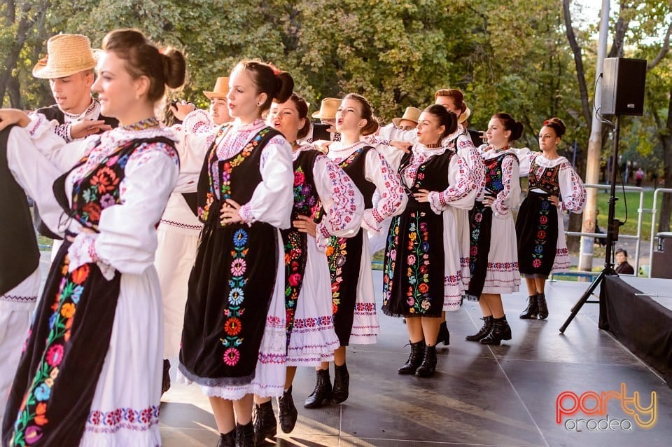 Concert Florile Bihorului, Oradea