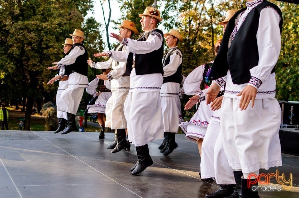 Concert Florile Bihorului, Oradea