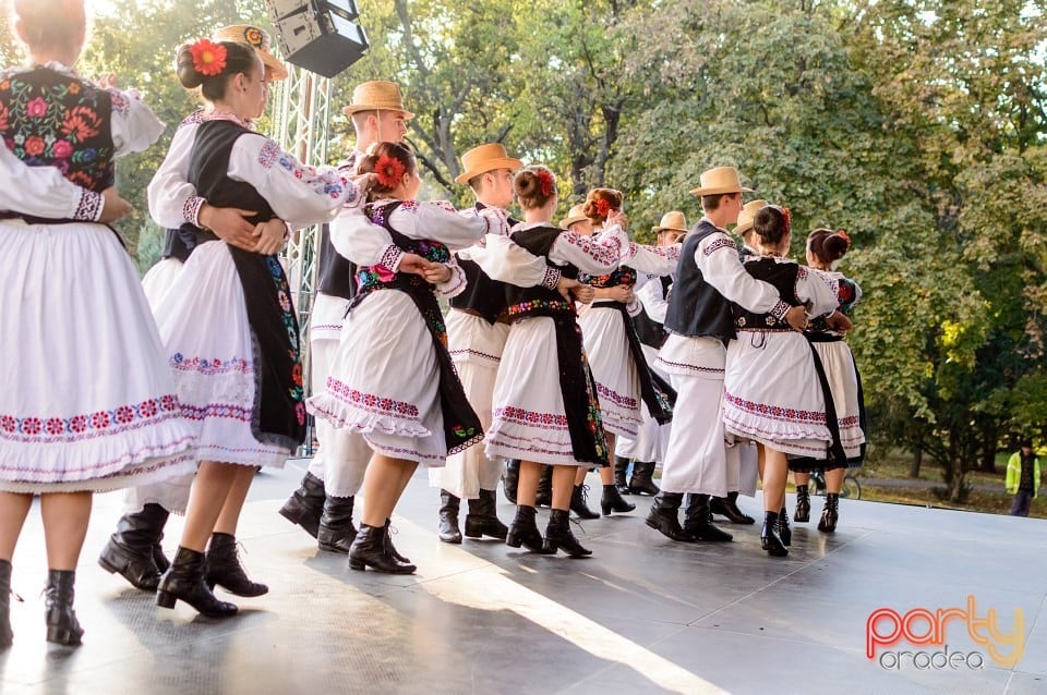 Concert Florile Bihorului, Oradea