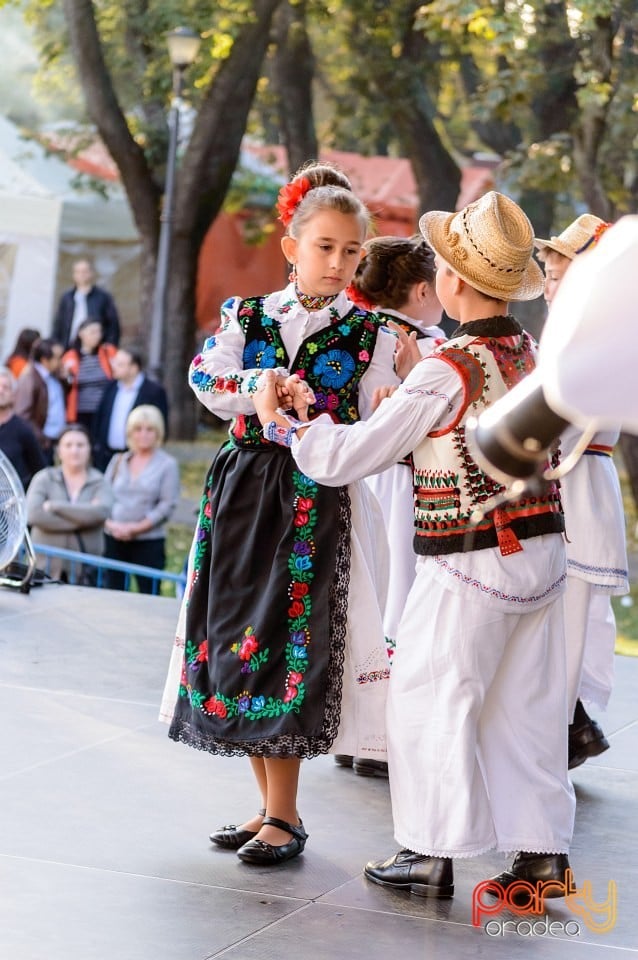 Concert Florile Bihorului, Oradea