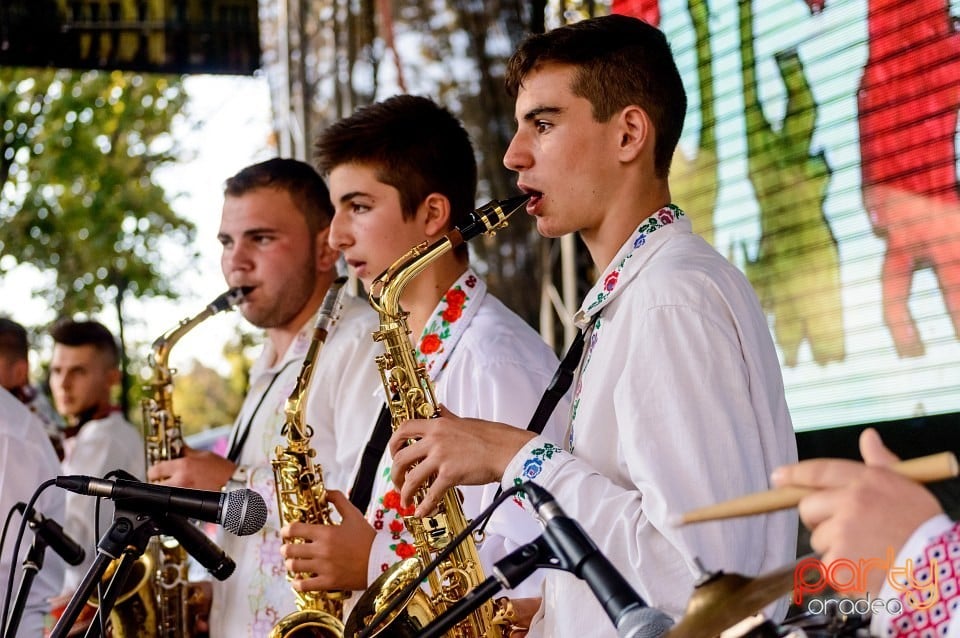 Concert Florile Bihorului, Oradea