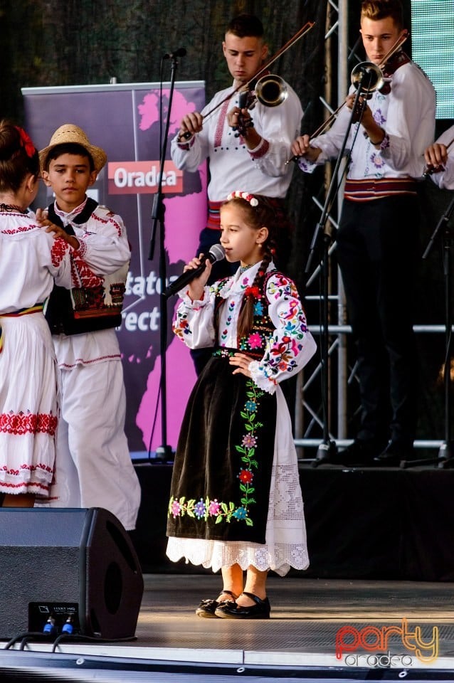 Concert Florile Bihorului, Oradea