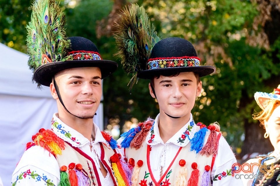 Concert Florile Bihorului, Oradea