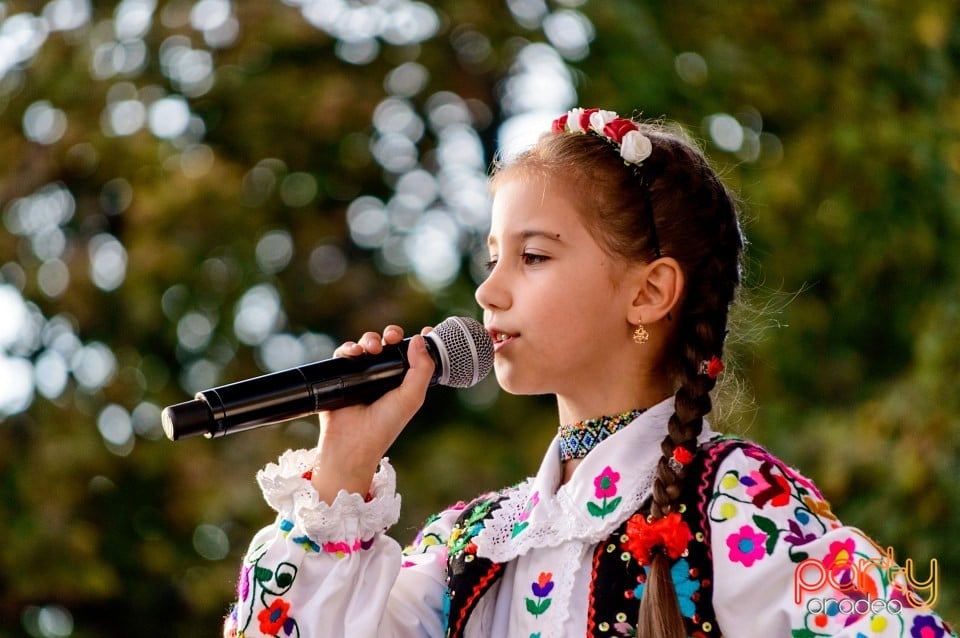 Concert Florile Bihorului, Oradea