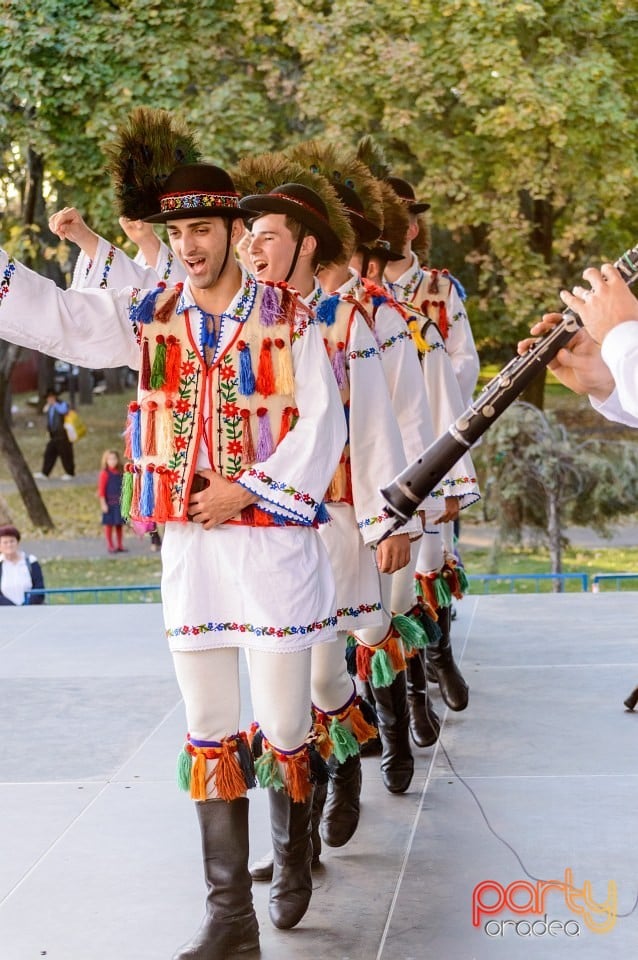 Concert Florile Bihorului, Oradea