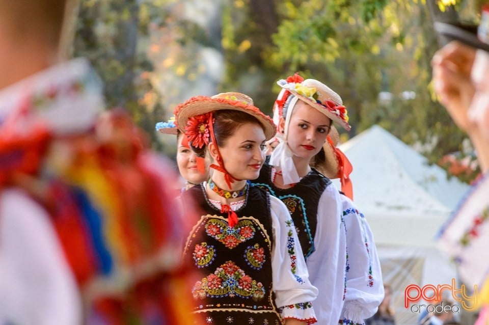 Concert Florile Bihorului, Oradea