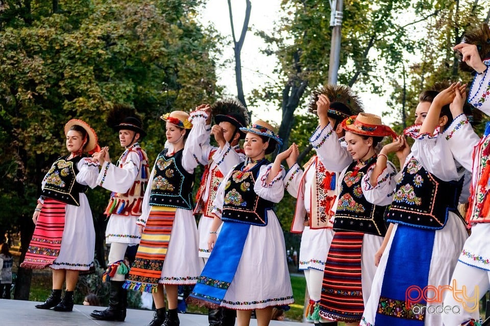 Concert Florile Bihorului, Oradea