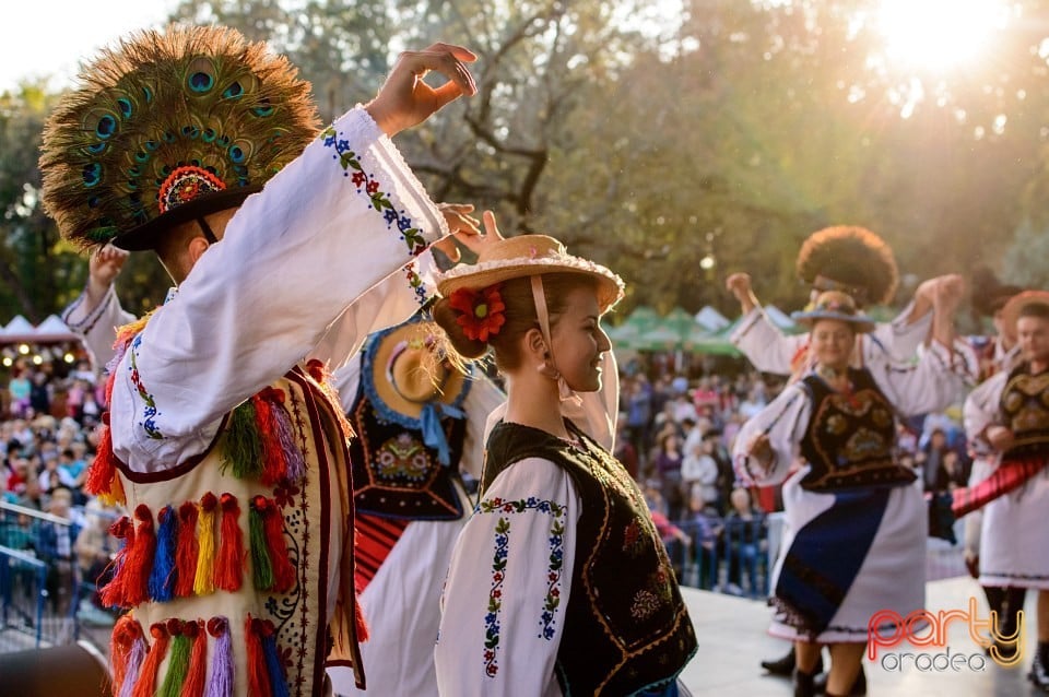 Concert Florile Bihorului, Oradea