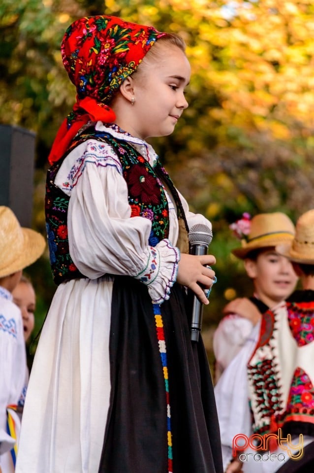 Concert Florile Bihorului, Oradea