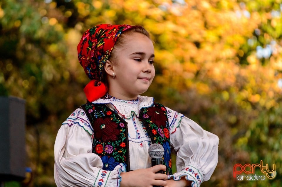 Concert Florile Bihorului, Oradea