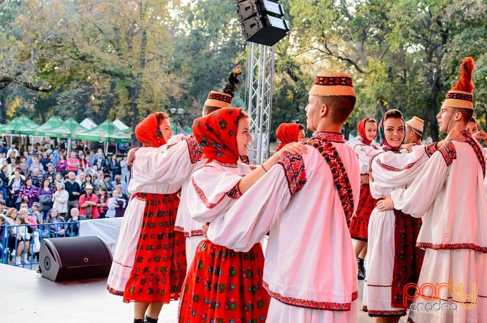 Concert Florile Bihorului, Oradea