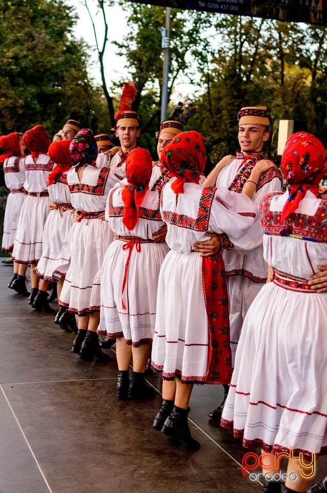 Concert Florile Bihorului, Oradea