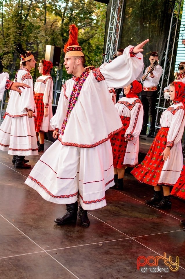 Concert Florile Bihorului, Oradea