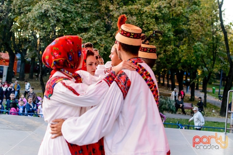 Concert Florile Bihorului, Oradea