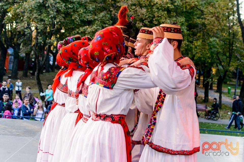 Concert Florile Bihorului, Oradea