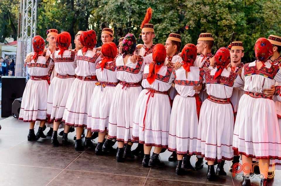 Concert Florile Bihorului, Oradea