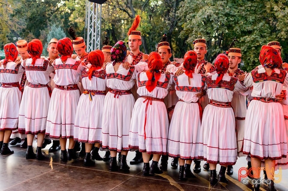 Concert Florile Bihorului, Oradea